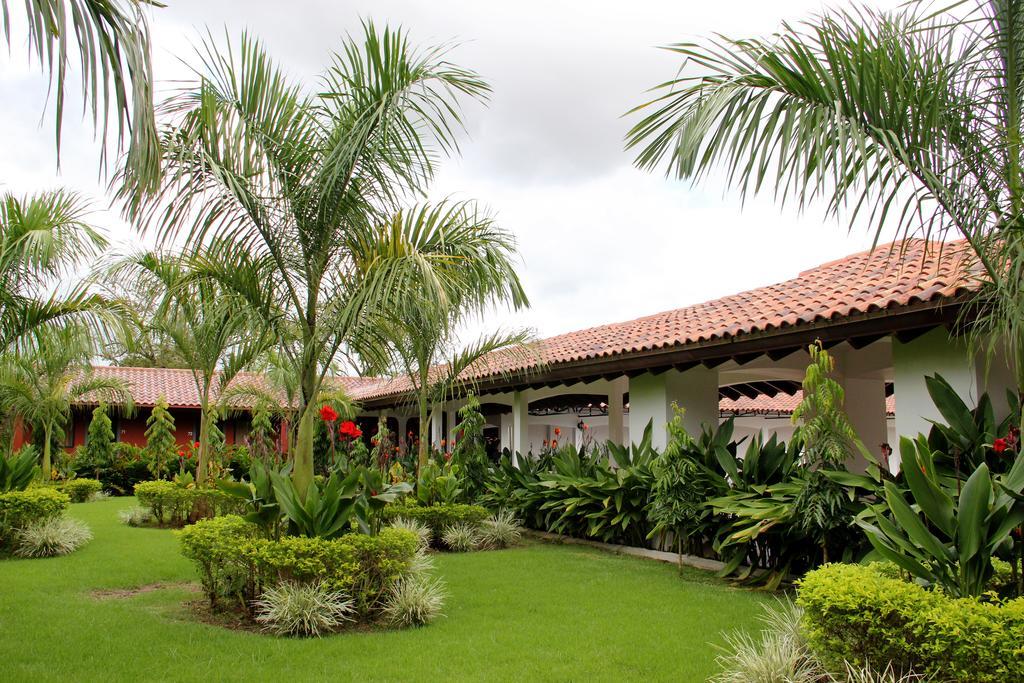 Gran David Hotel