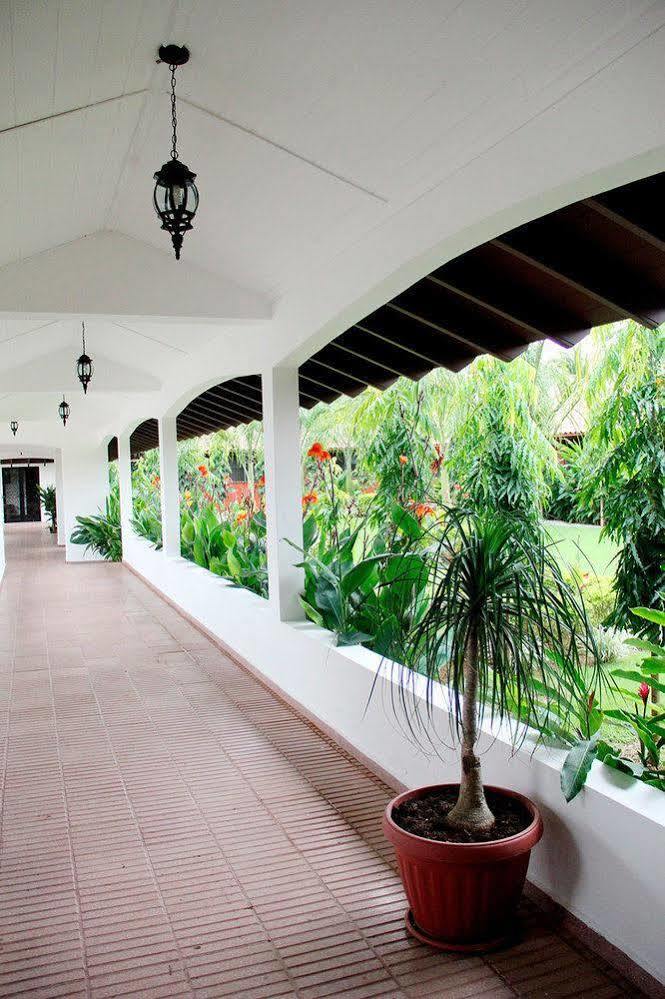 Hotel Gran David